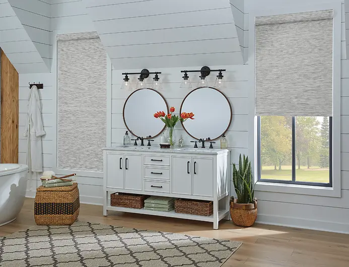 modern roller shades in luxury living room