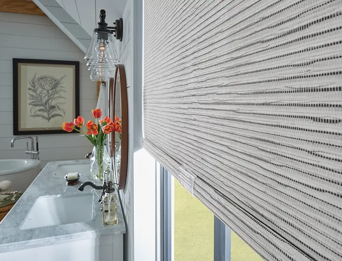 premium roller shades for elegant office interiors