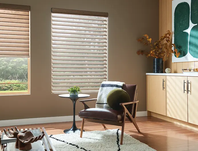 modern sheer shades with soft light diffusion in luxury home