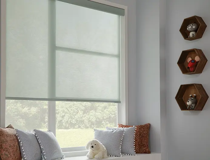 premium solar shades for contemporary office space