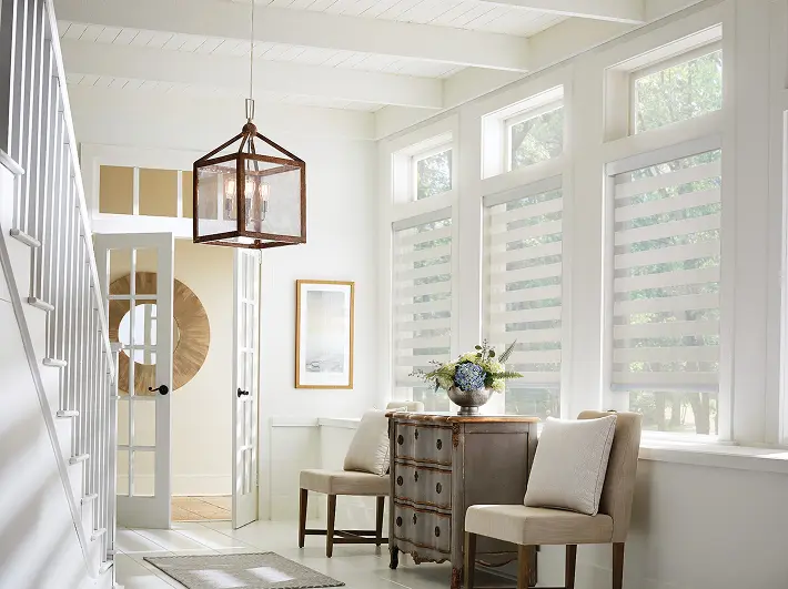 Banded | Zebra Shades